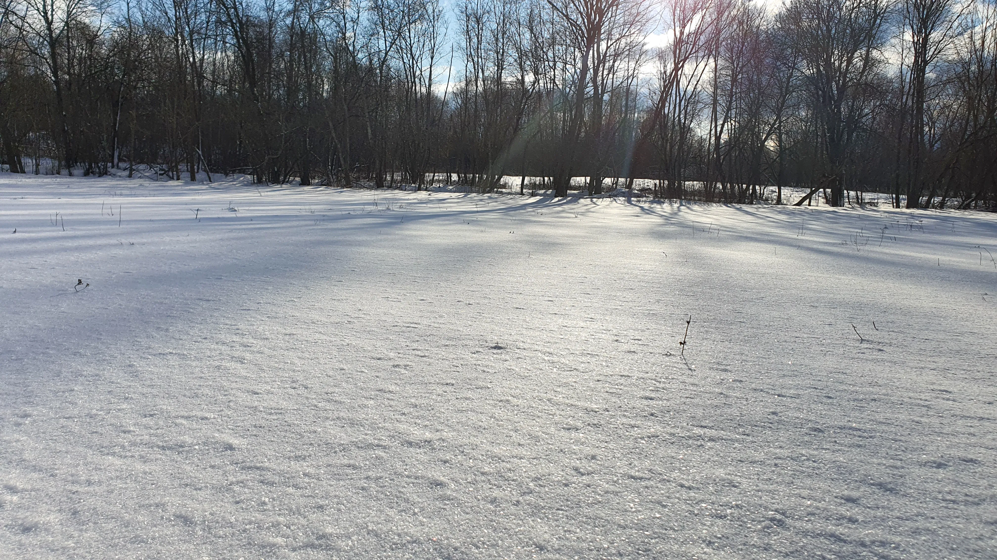 Candidate for Winter 1.